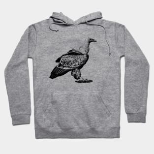 Vulture Hoodie